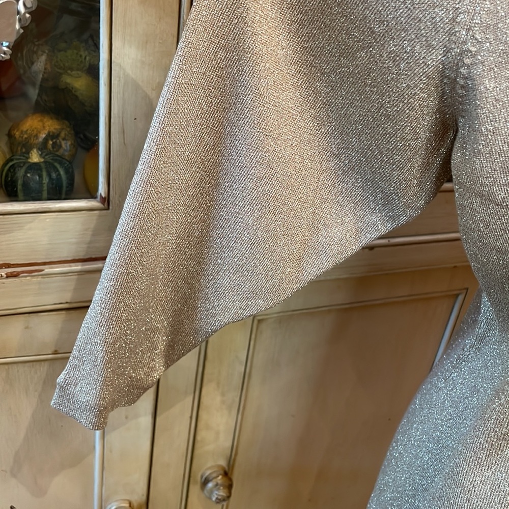 Chicos Sequins Mimic Leopard Print - image 3